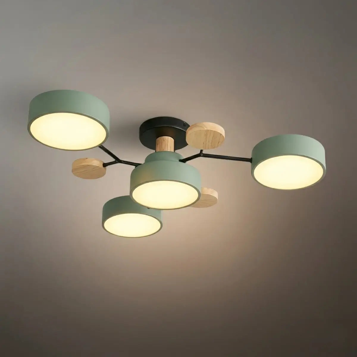 Modern_Round_Ceiling_Light